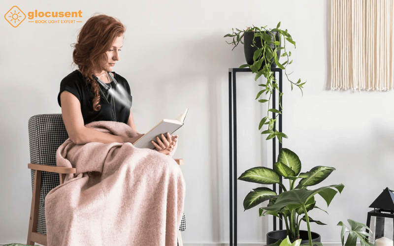 Đèn đọc sách Glocusent nhiều màu