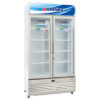 Tủ Mát Alaska 700 Lít SL-7C - Hàng Chính Hãng - Giao Miễn Phí HCM - [ HỖ TRỢ GIAO TỈNH ]