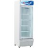 Tủ mát Alaska 385 lít LC-385