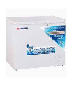 Tủ đông Alaska BD-400C 400L 1 ngăn đông dàn đồng