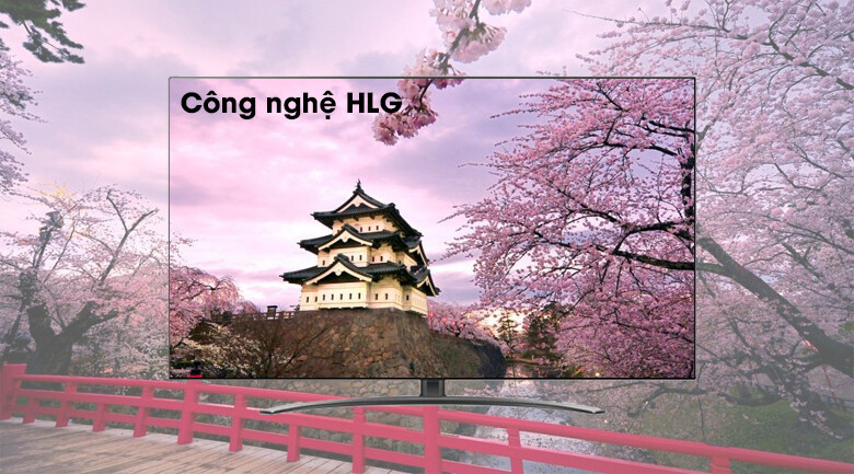 e0627b12ceae671a69e455f6d77a0343