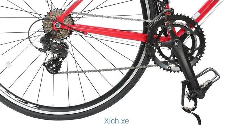 Xe Đạp Thể Thao Road Txed Classic S7 29 inch Size L sở hữu bộ truyền động Shimano mạnh mẽ đến từ Nhật Bản