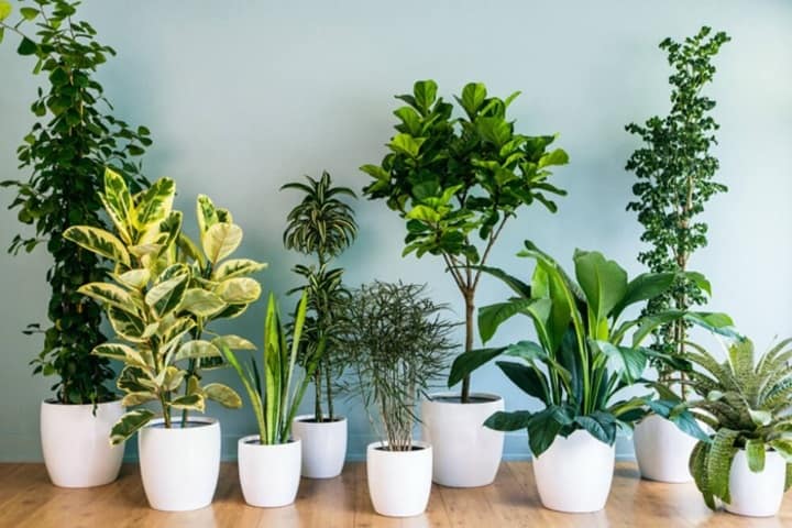 Sử dụng thêm biện pháp làm mát