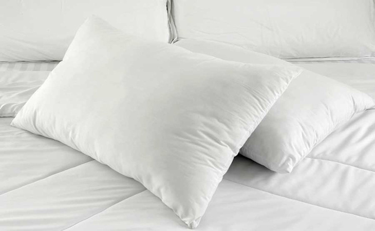 Ruột gối chứa nhiều ​  Ruột gối chứa bào tử nấm