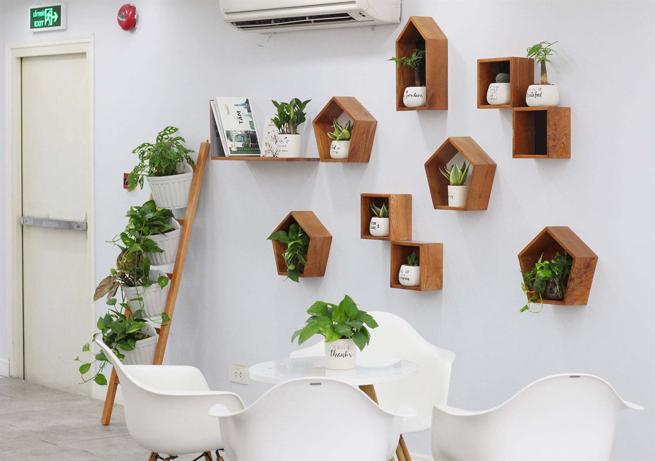 Lọc không khí bằng cây xanh