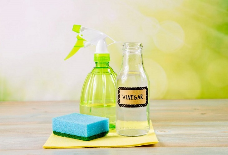 Dùng hỗn hợp giấm và nước ấm để làm sạch