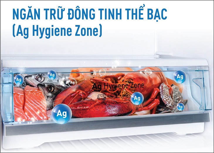 Ngăn trữ đông tinh thể bạc Ag Hygiene Zone