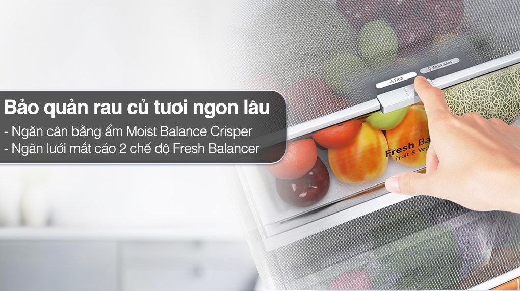 Ngăn cân bằng độ ẩm cả tủ lạnh LG Inverter 635 Lít GR-X257MC giúp rau củ luôn tươi mới