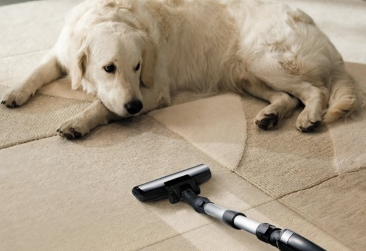 Máy hút bụi có thể hút sạch lông vật nuôi