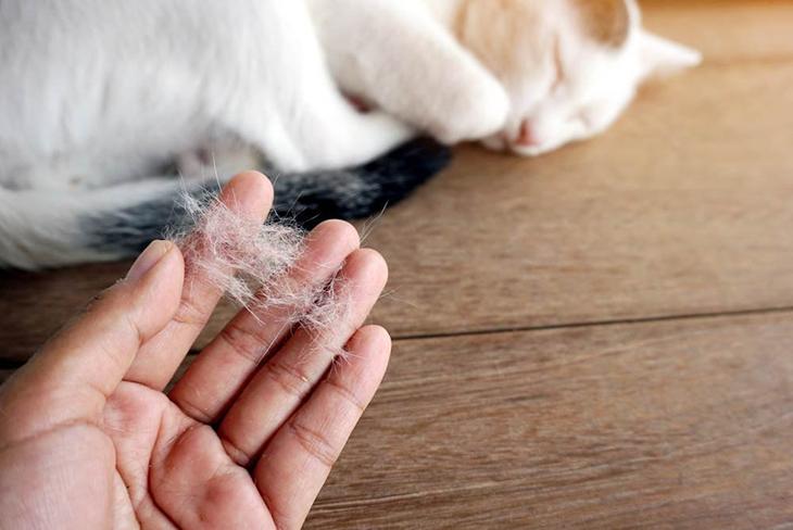 Loại bỏ phấn hoa và lông vật nuôi