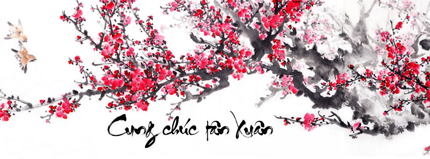 Ảnh bìa xuân 2026 chuẩn kích thước, bố cục hài hòa, giúp trang cá nhân nổi bật và trọn vẹn ý nghĩa Tết