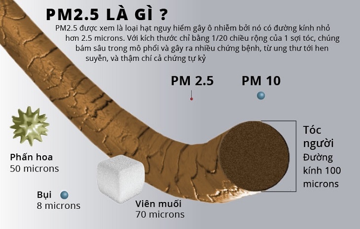 Bụi mịn PM 2.5 gây ra ảnh hưởng nghiêm trọng tới phổi của con người