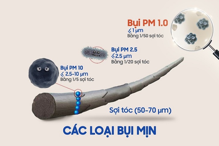 Bụi mịn này có kích thước nhỏ nhất