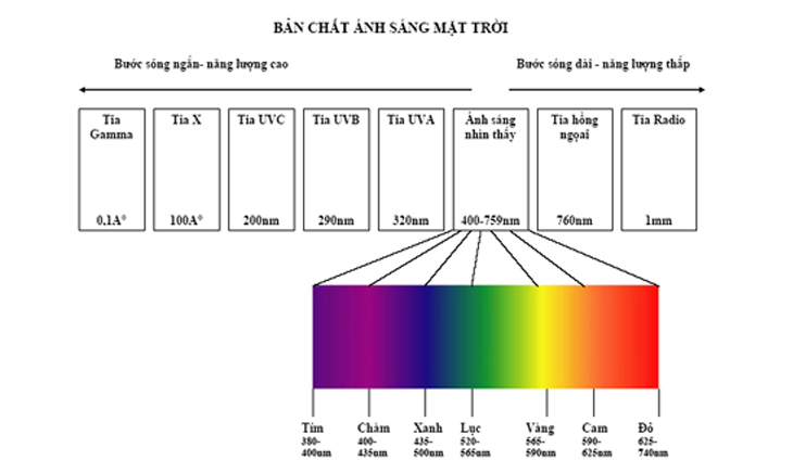 Một số bước sóng của các tia phổ biến