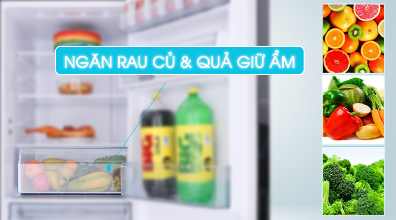 Ngăn rau củ Fresh Safe