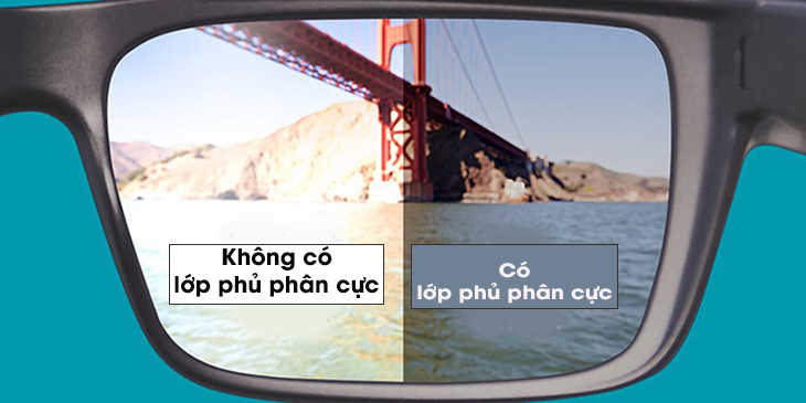 Tròng kính phân cực (polarized lenses)