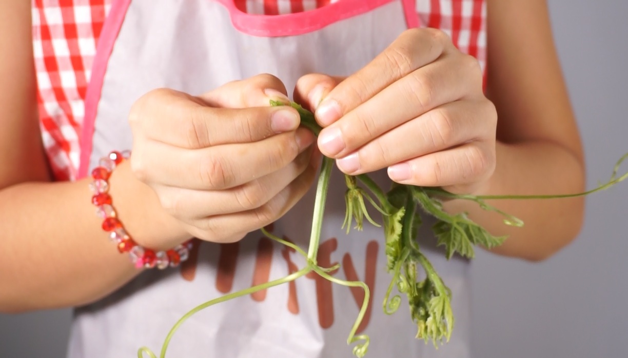 Cắt tỉa phần dập, hỏng