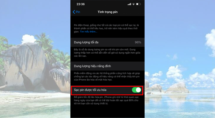 Bạn kích hoạt tính năng Sạc pin được tối ưu hóa (Optimized Battery Charging) ở dưới cùng.