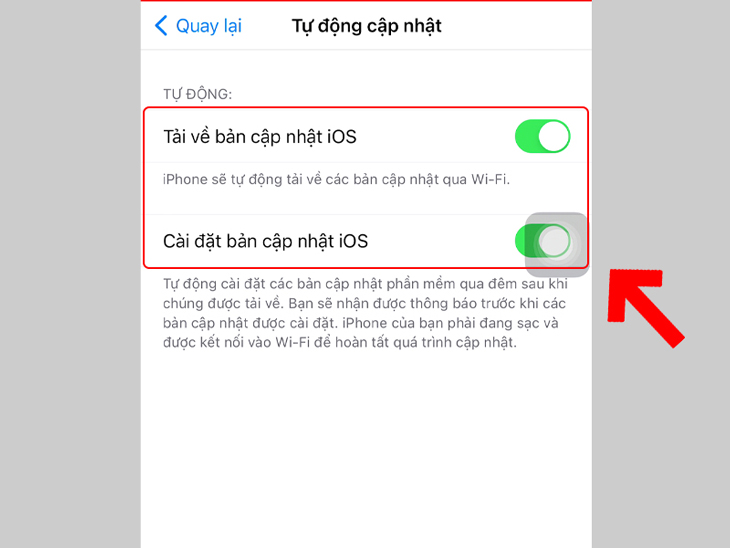 Tại đây, bạn có thể lựa chọn tự động tải về hoặc cài đặt các bản cập nhật.