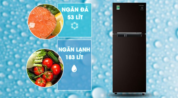 Dung tích tủ lạnh 150 đến 300 lít