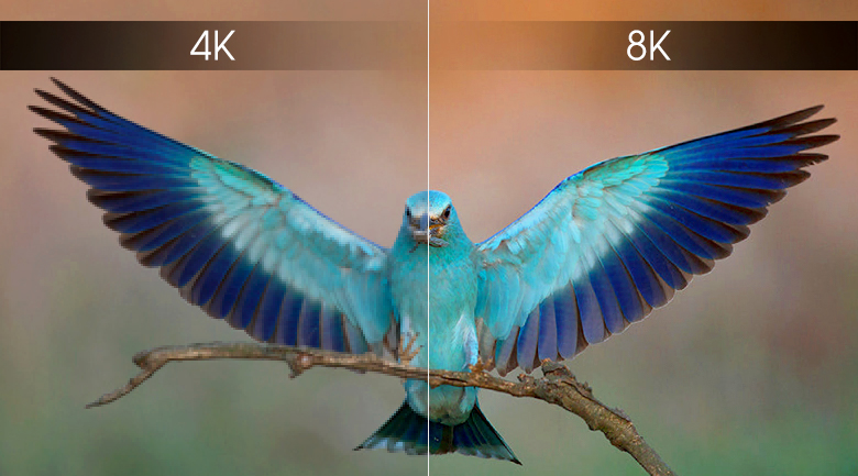 Độ phân giải 4K và 8K dần trở nên phổ biến hơn vì cung cấp được trải nghiệm xem tuyệt vời