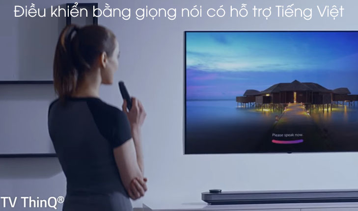 Tìm kiếm bằng giọng nói tiếng Việt
