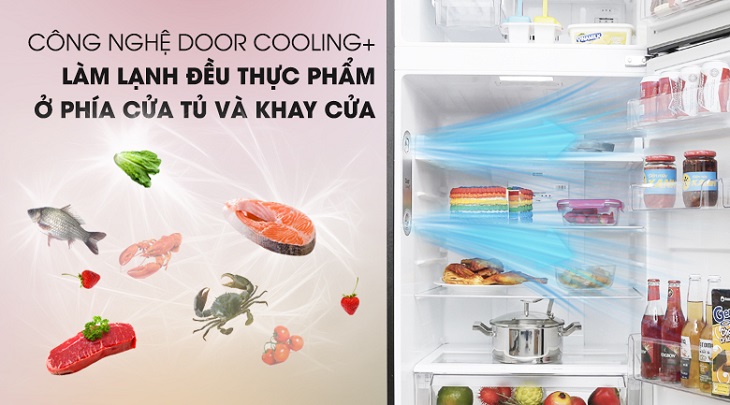 Công nghệ Door Cooling+ trên Tủ lạnh LG Inverter 393 lít GN-L422GB