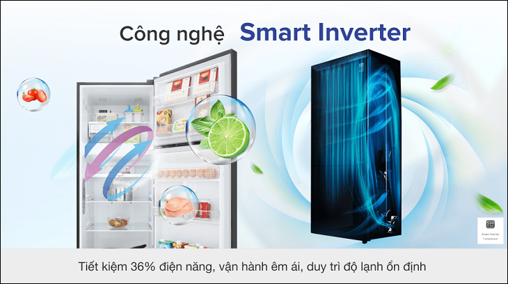 Công nghệ Smart Inverter trên Tủ lạnh LG Inverter 315 lít GN-M315BL