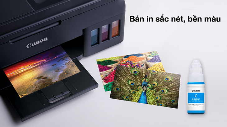 Phân loại theo các dạng mực in