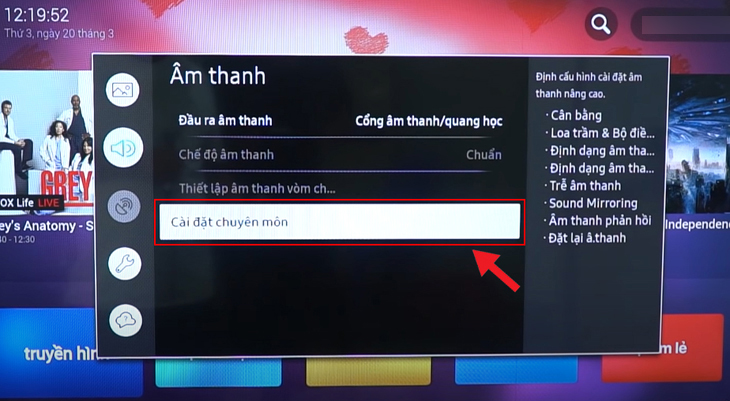 Trong mục  Âm thanh bạn chọn Cài đặt chuyên môn
