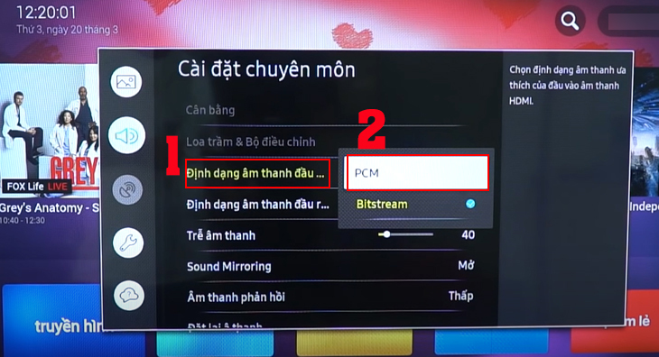 Trong mục Định dạng âm thanh đầu vào => chọn PCM