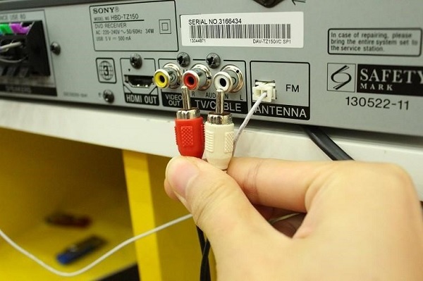 Trên amply bạn cắm vào phần có ký hiệu AUDIO IN, còn trên đầu đĩa, bạn cắm ở phần có ký hiệu AV OUT.