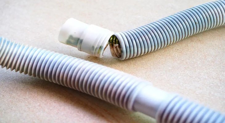 Do côn trùng mắc kẹt trong ống thoát nước của máy lạnh là một trong những nguyên nhân khá phổ biến nhất gây tắc nghẽn