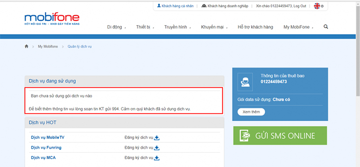 Các dịch vụ đang sử dụng được hiển thị