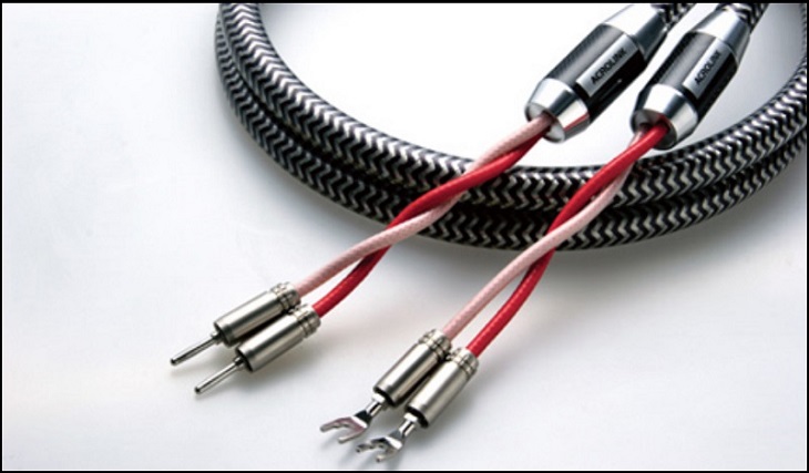 Dây loa có nhiều dạng đầu cắm