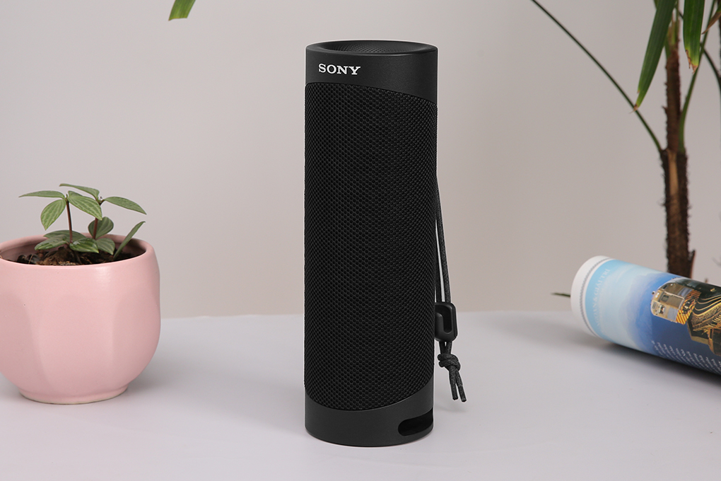 Reset loa Bluetooth Sony