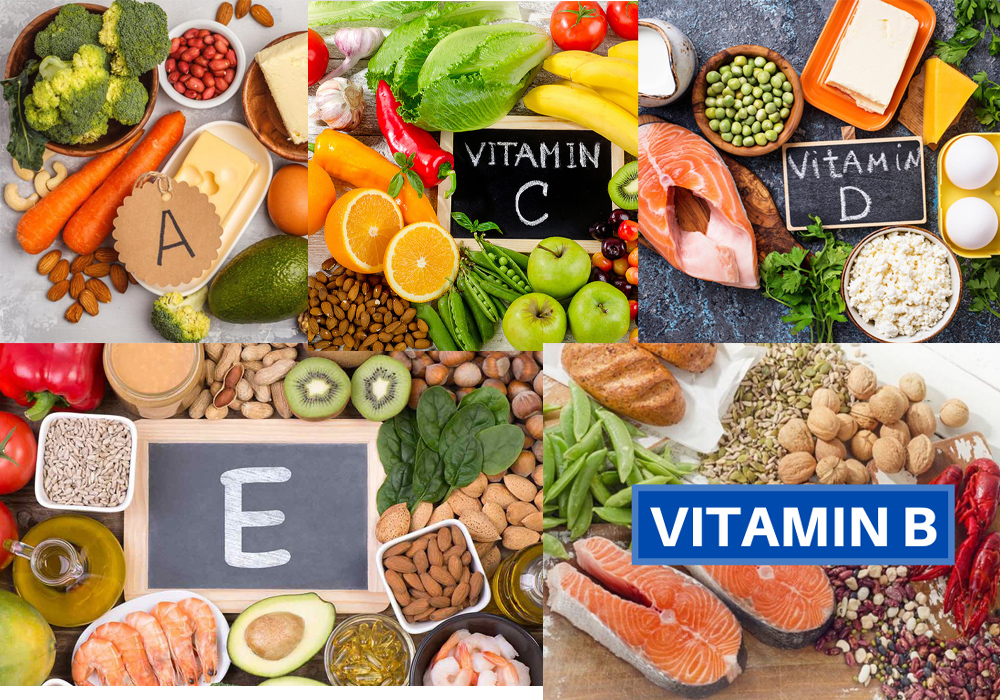 cung cấp cho cơ thể đầy đủ các loại vitamin cần thiết