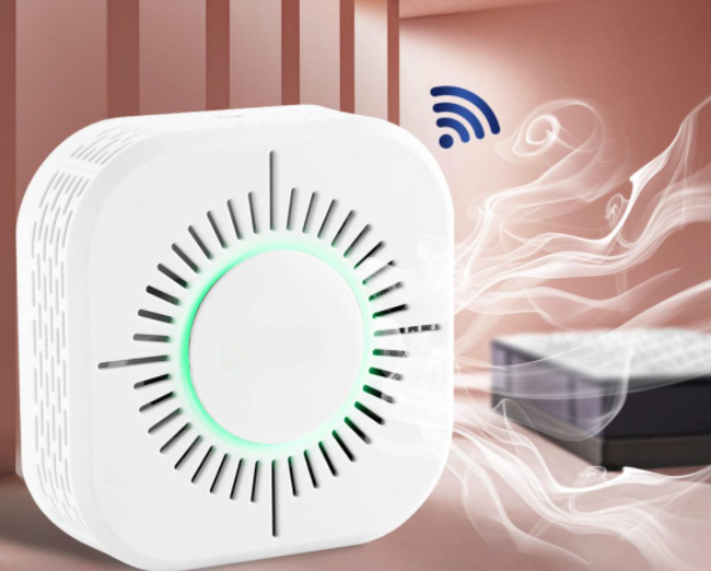 Đầu báo khói ion hóa