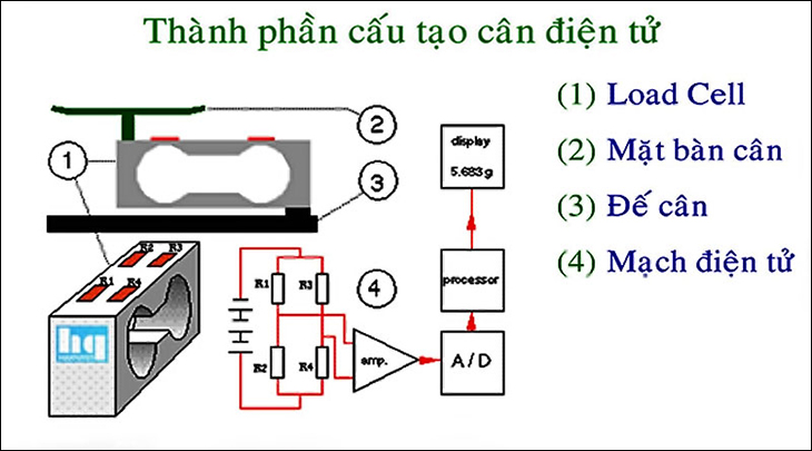 Cân thông minh được cấu tạo từ loadcell, mặt bàn cân, đế cân, mạch điện tử