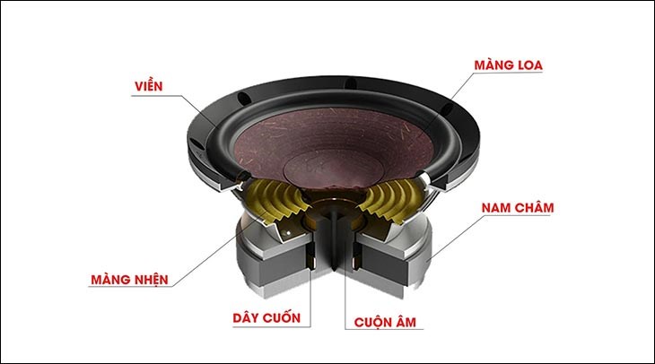 Loa được cấu tạo từ nhiều bộ phận