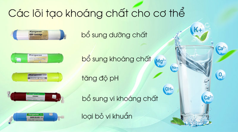 Các lõi tạo khoáng chất cho cơ thể