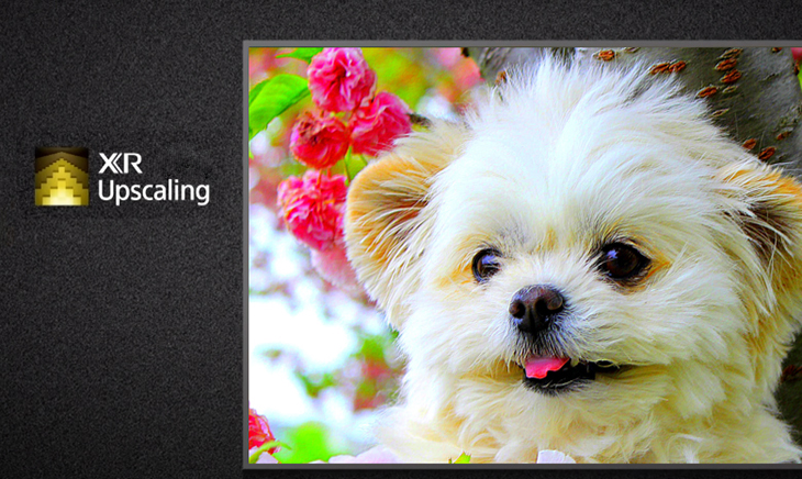 Nhóm XR Clarity - công nghệ XR Upscaling