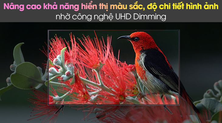 Công nghệ UHD Dimming trên Smart Tivi Samsung 4K Crystal UHD 43 inch UA43AU7200