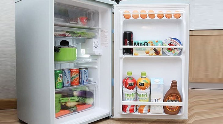 Nên cân nhắc nhu cầu sử dụng trước khi mua tủ lạnh 1 cánh