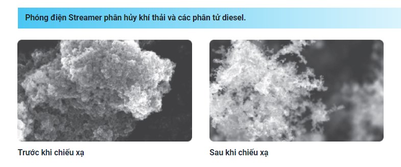 Phân hủy các hóa chất độc hại