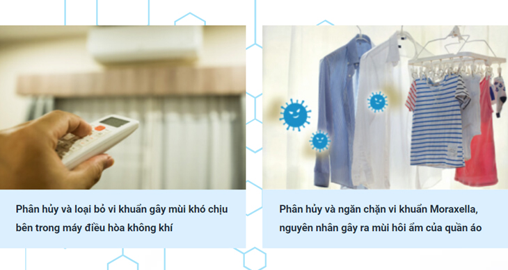 Loại bỏ các tác nhân gây mùi