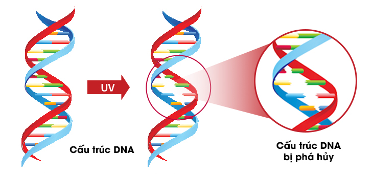 Công nghệ độc quyền UVnano trên máy lạnh LG