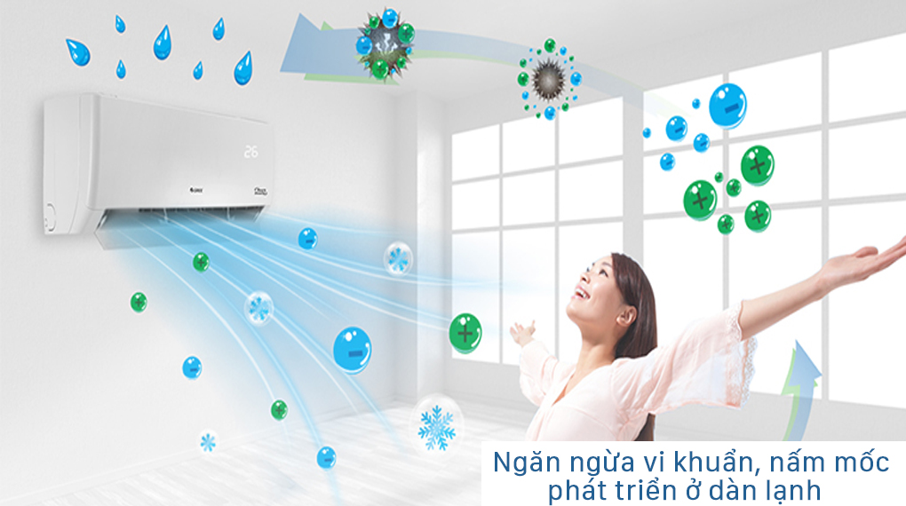 Ngăn ngừa vi khuẩn và nấm mốc