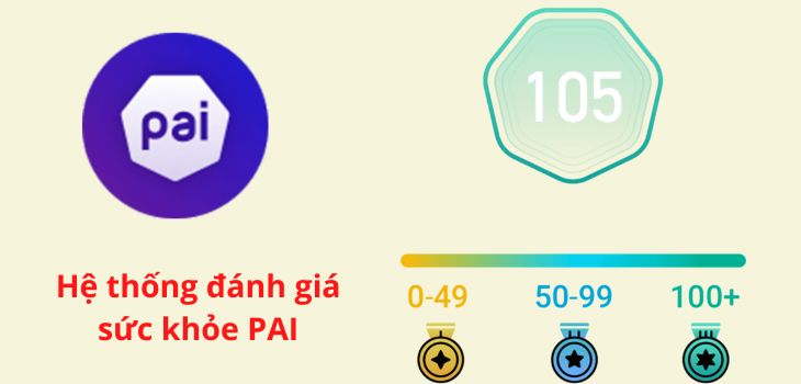 Hệ thống đánh giá sức khỏe PAI