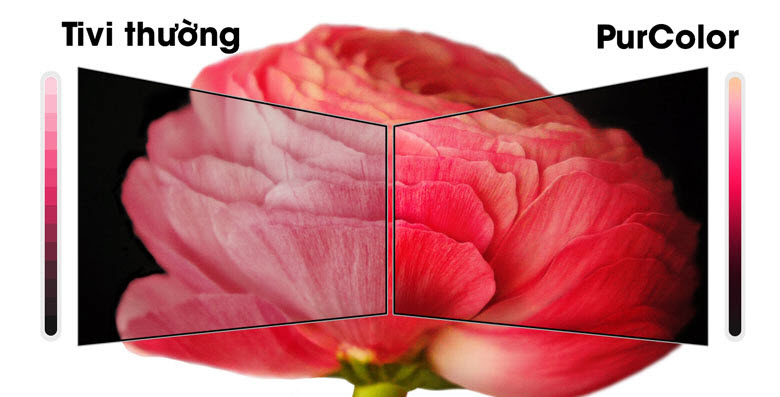 Đánh giá dòng Smart TV màn hình cong 4K RU7300 - PurColor